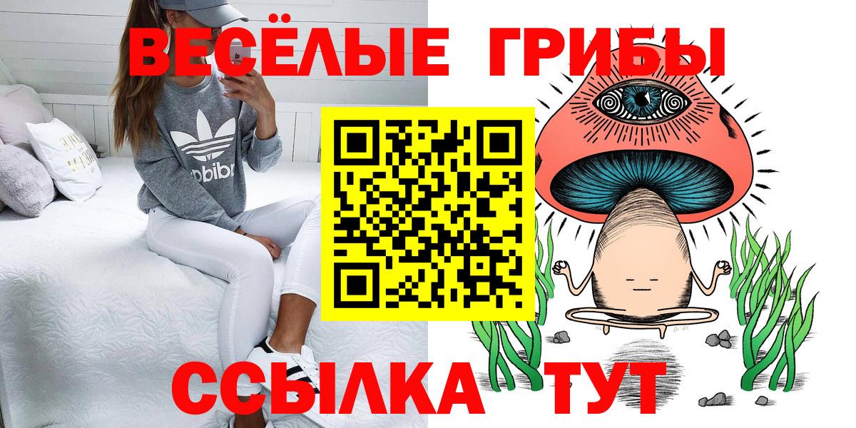 Анапа  Псилоцибиновые грибы мухоморы  Псилоцибиновые грибы Psilocybine cubensis  Вход с VPN 
